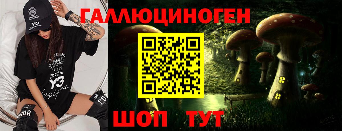 Галлюциногенные грибы мухоморы  Вход с VPN  Бугуруслан  Псилоцибиновые грибы GOLDEN TEACHER 
